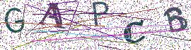 Beeld-CAPTCHA