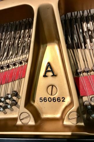 Steinway & Sons A 560662
