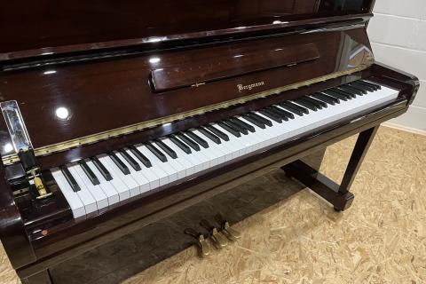 Bergmann T00106493