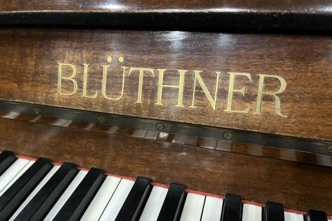 Bluthner 115659