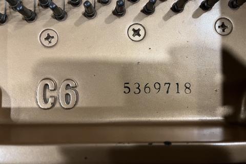 Yamaha C6 5369718