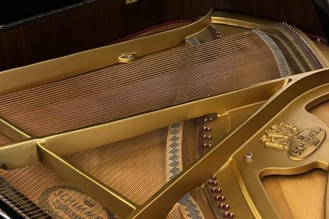 Schimmel 180 nr 248020